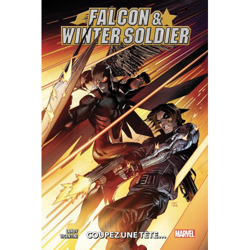 Falcon & Winter Soldier (VF)