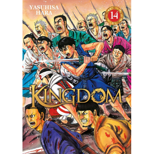 Kingdom Tome 14 (VF)