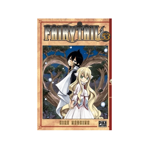 Fairy Tail T53 (VF)