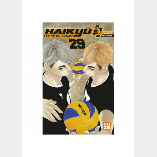 Haikyu !! - Les As du volley T29 (VF)
