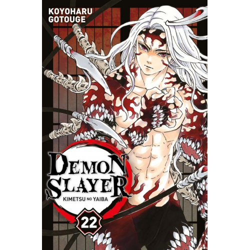 Demon Slayer Tome 21 (VF)