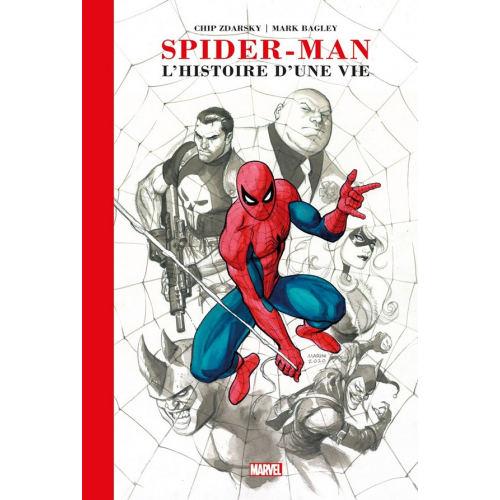 Spider Man : L'histoire d'une vie EDITION PRESTIGE (VF) Occasion