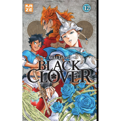 Black Clover Tome 12 (VF)