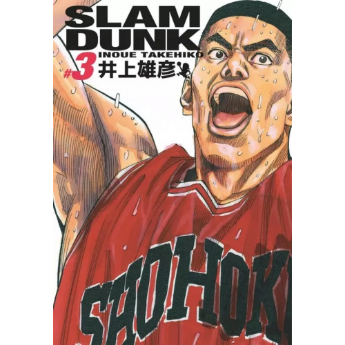SLAM DUNK DELUXE - TOME 3 (VF)