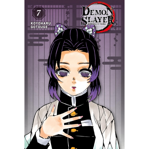 Demon Slayer - Edition Pilier T07 (VF)