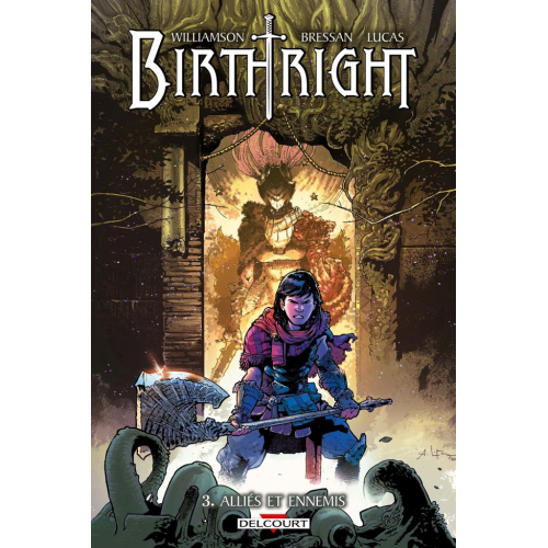 Birthright tome 3 (VF) occasion