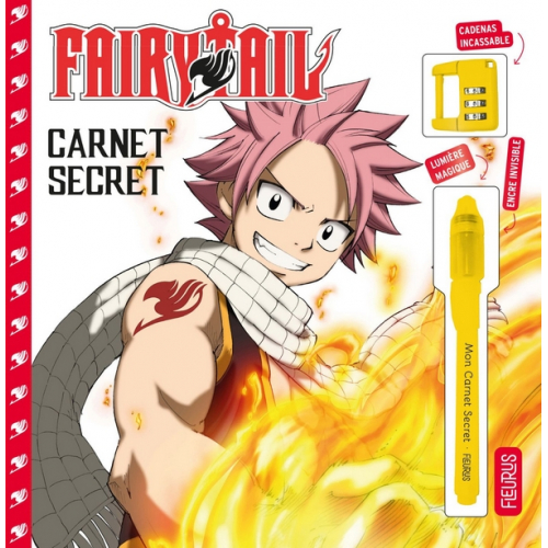 Carnet secret - Fairy Tail (VF)