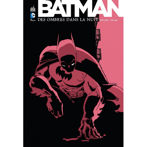 Batman Des Ombres dans La Nuit (VF)